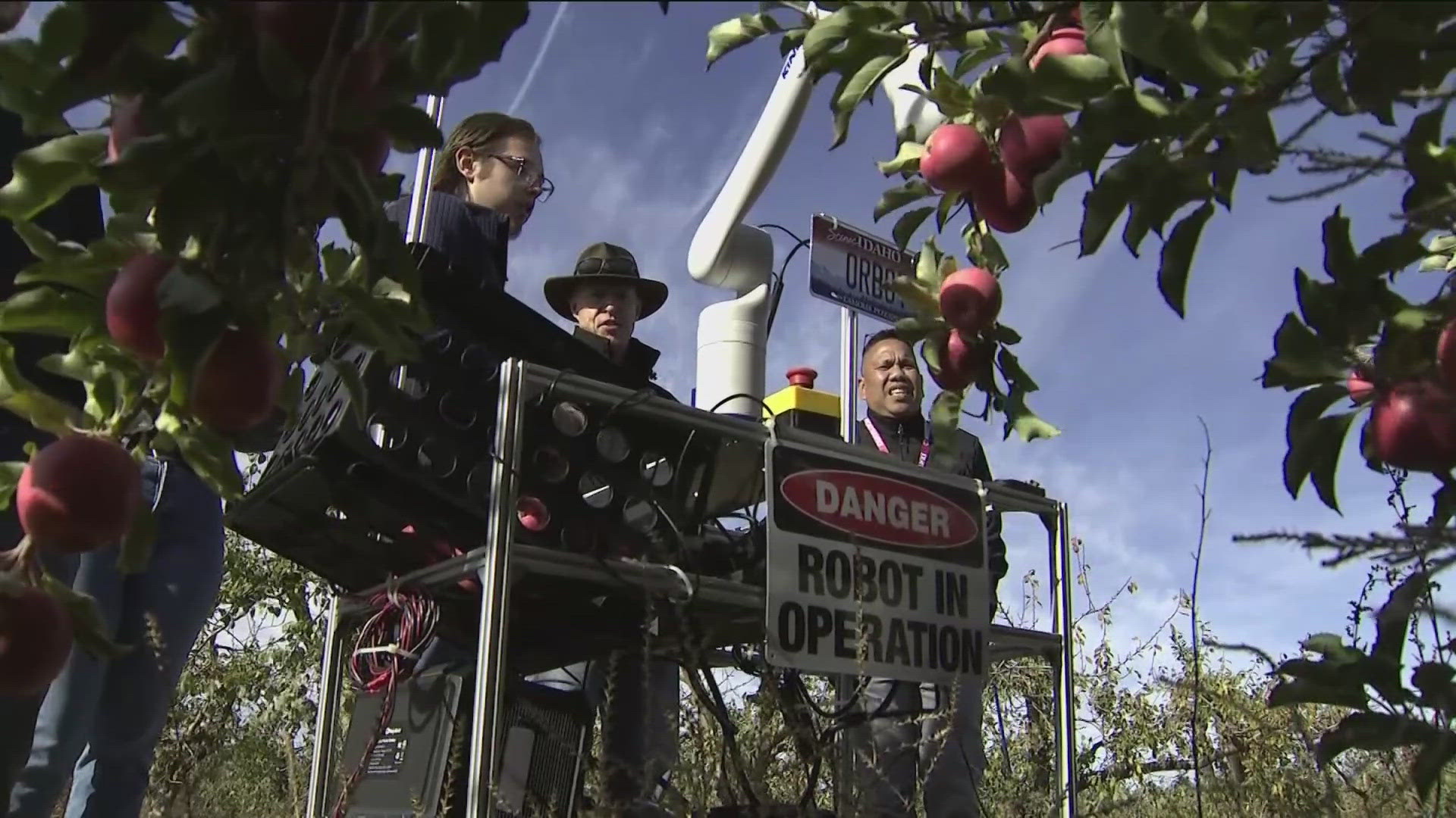 With a decreasing labor force, the "Orbot" and its creators hope to help with future apple crops.