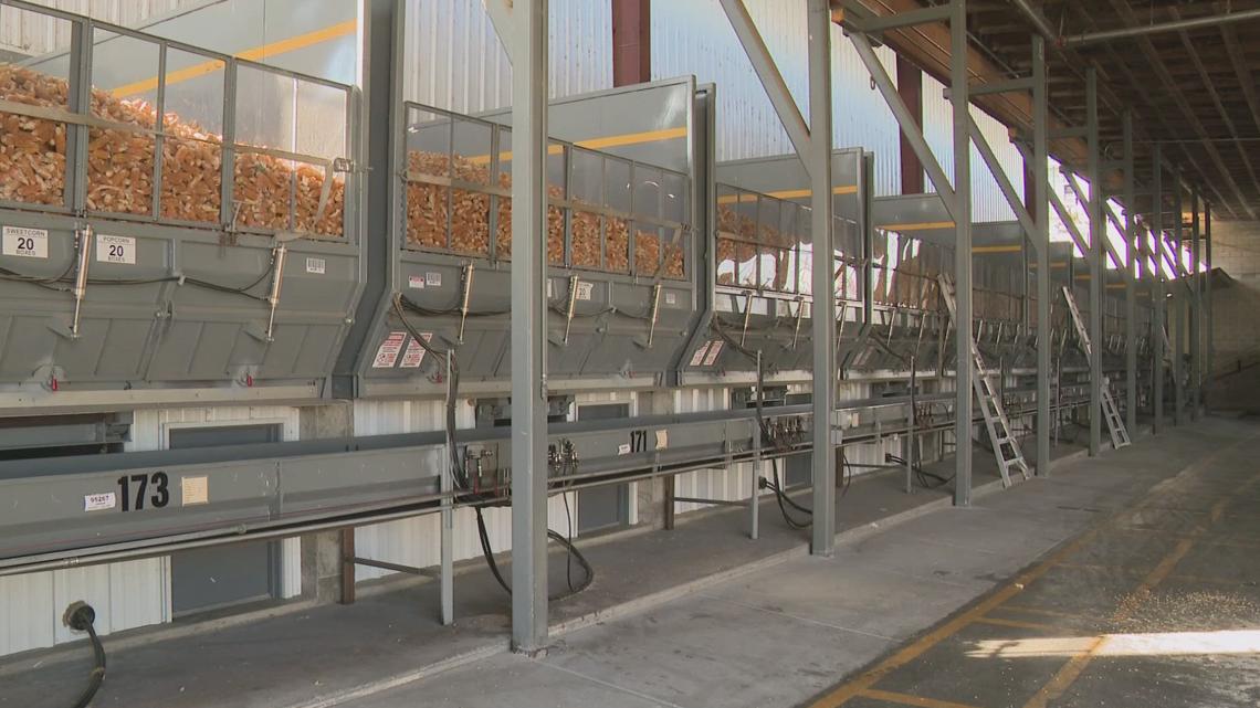 Inside Ag: Canyon County shines as global leader in seed production