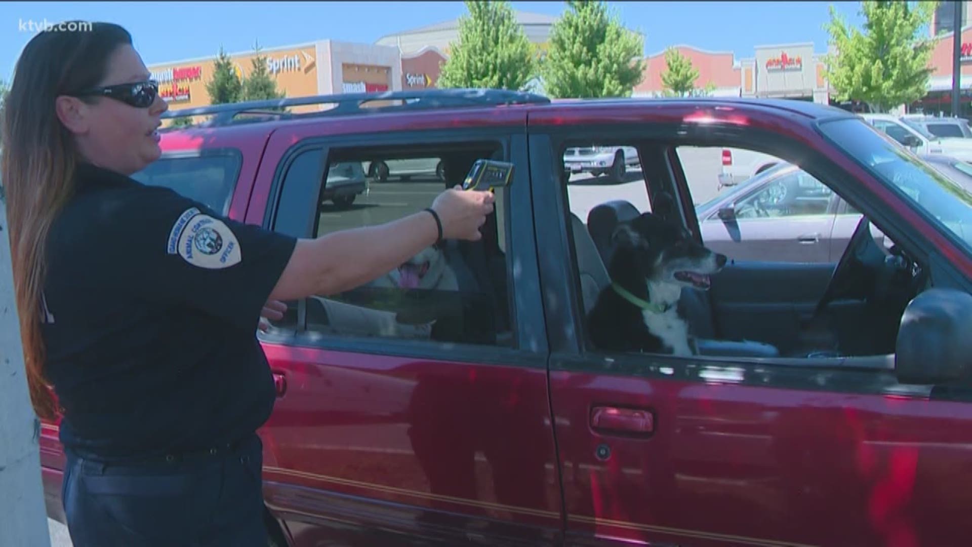 KTVB went out with Animal Control officers Monday to rescue dogs lefts in vehicles.