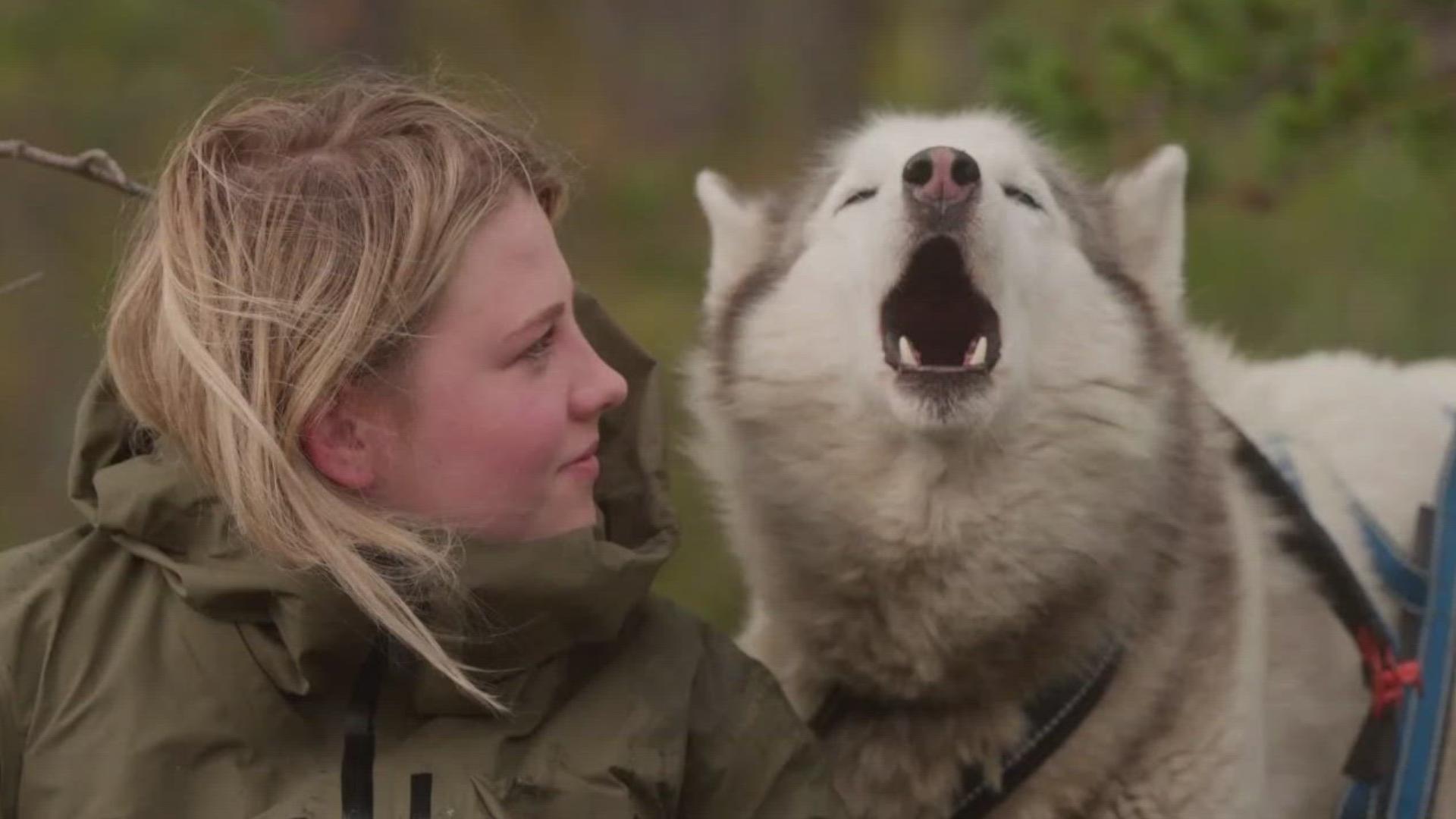 The Sun Valley Film Festival will highlight powerful storytelling and honor some big-name filmmakers