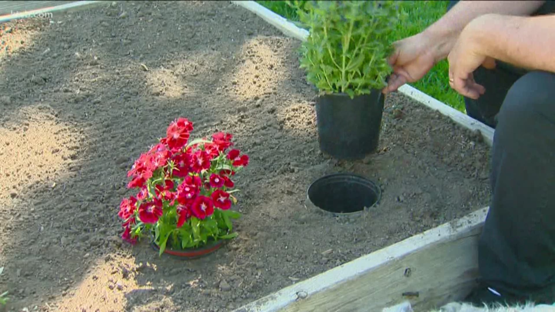 Jim Duthie shares some tips he's gotten from other gardeners that can help you save time and money.
