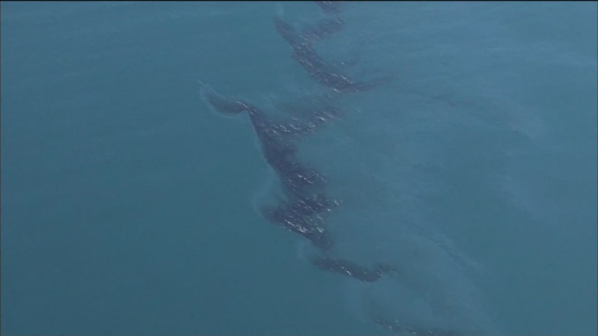 California officials filed a hazardous materials spill report, which stated that petroleum overflowed from an offshore platform owned by Beta Offshore.