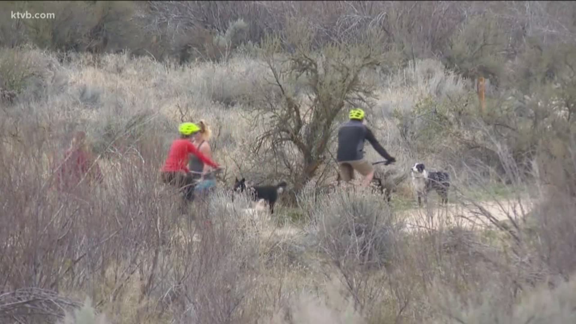More and more people are getting outside to enjoy a hike in the foothills or along the Boise Greenbelt. One thing to be on the lookout for is ticks.