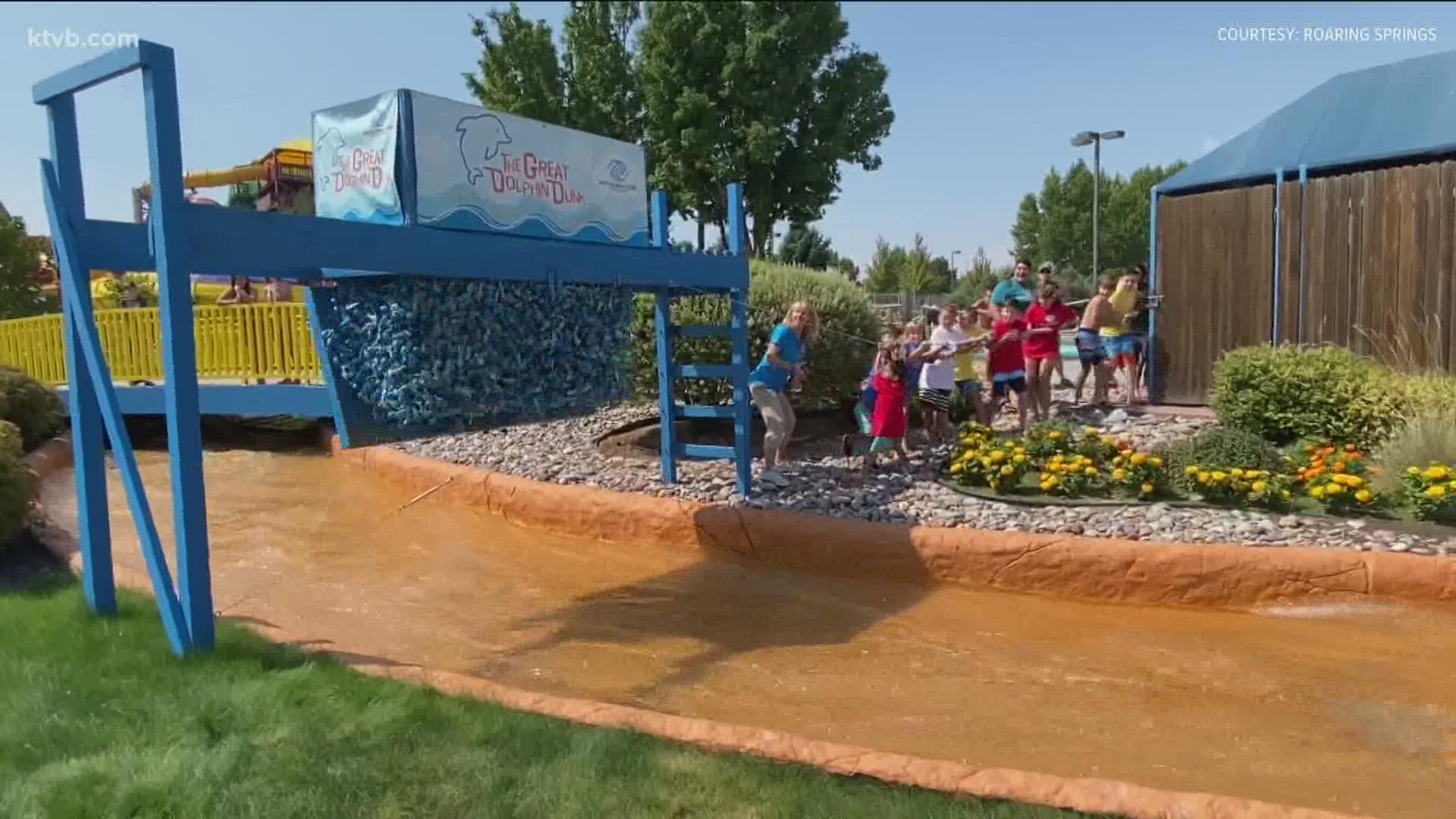 The annual Great Dolphin Dunk has raised nearly $1 million in the past 21 years.