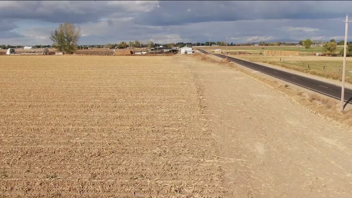 Data shows cold snap not expected to affect crop health - Vimarsana News