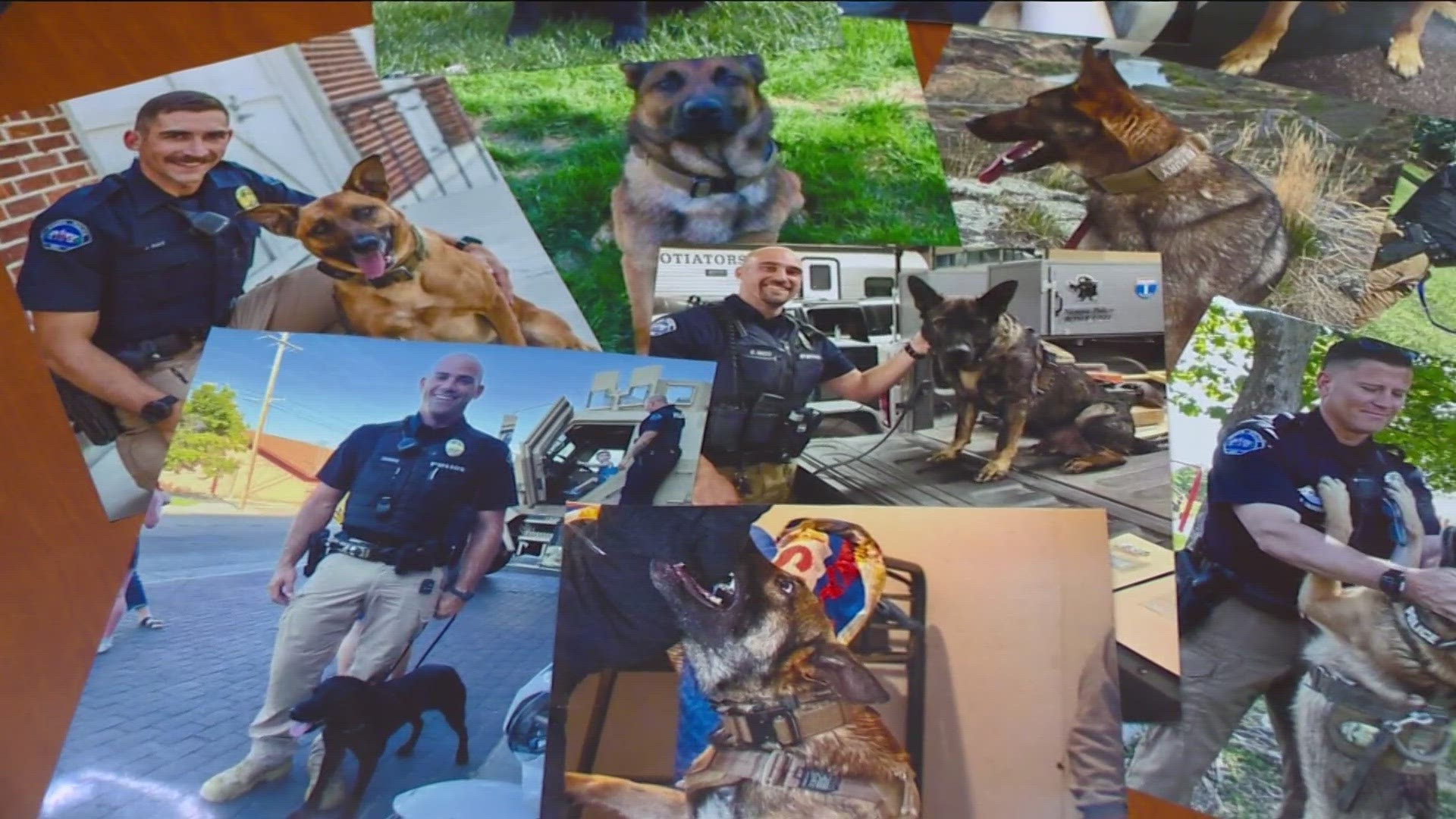 KTVB's Abby Davis spoke with the Nampa Police Department about the relationship between K9s and their handlers after two dogs were stabbed by a suspect on Jan. 24.