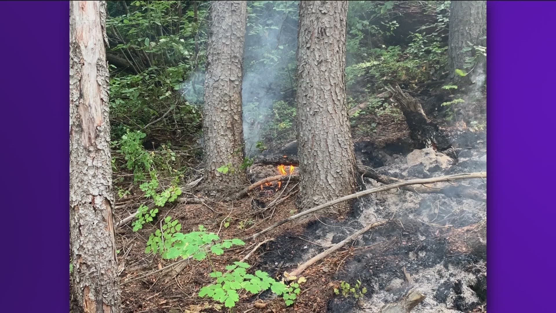 Widespread rain showers helped firefighters maintain acreage and containment. Crews have also made progress removing hazardous, flammable trees and debris.