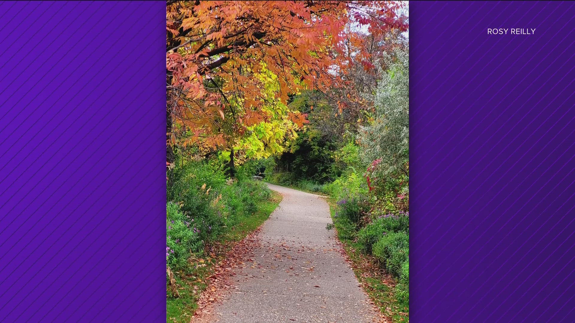 It's that time of year, and KTVB has seasonal information on the timing of the colors.