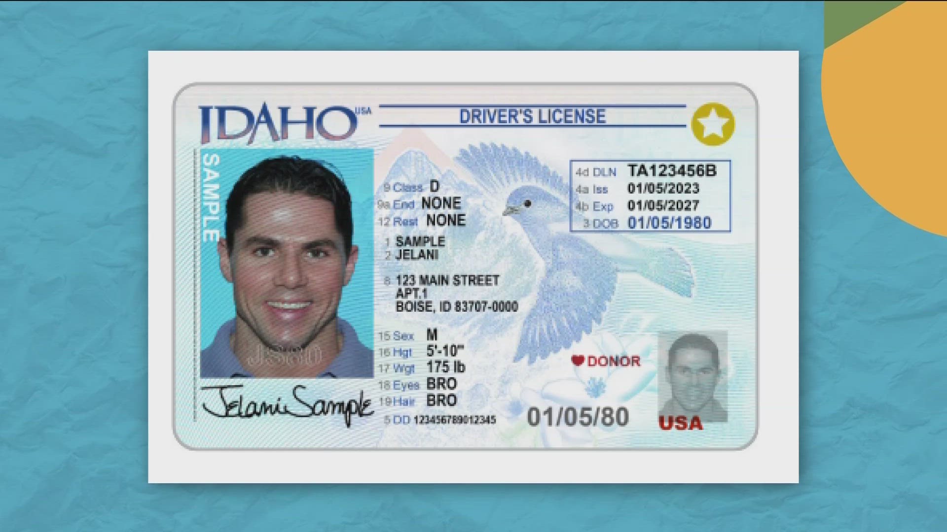 The Idaho Transportation Department (ITD) said the new look will be on all new license issues and renewals beginning in April.