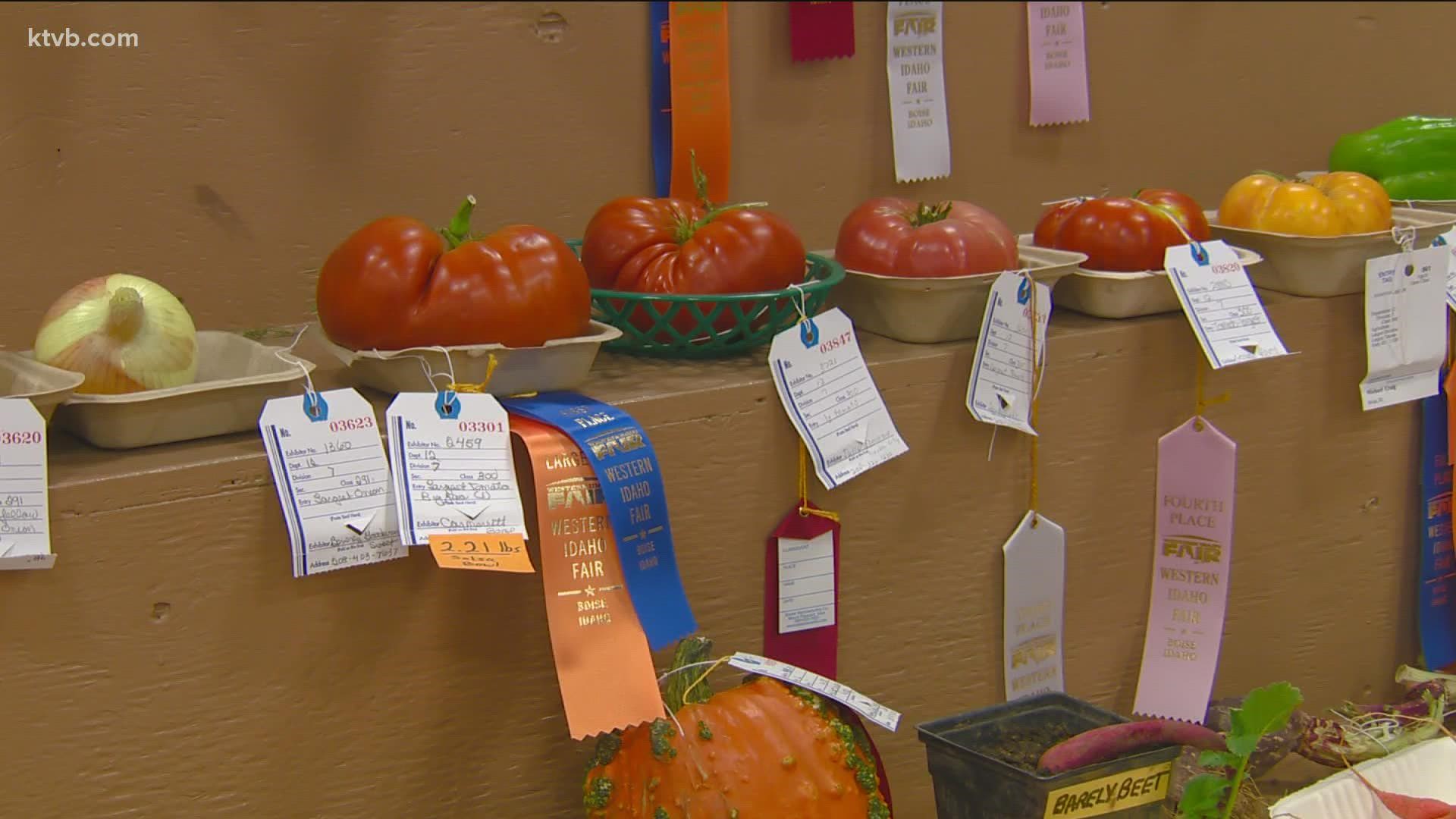 Jim Duthie shows us some winning entries from years past at the fair.