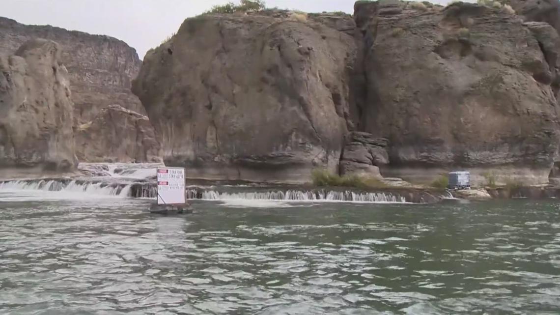 Idaho reduces quagga mussel impact in Snake River by 51%