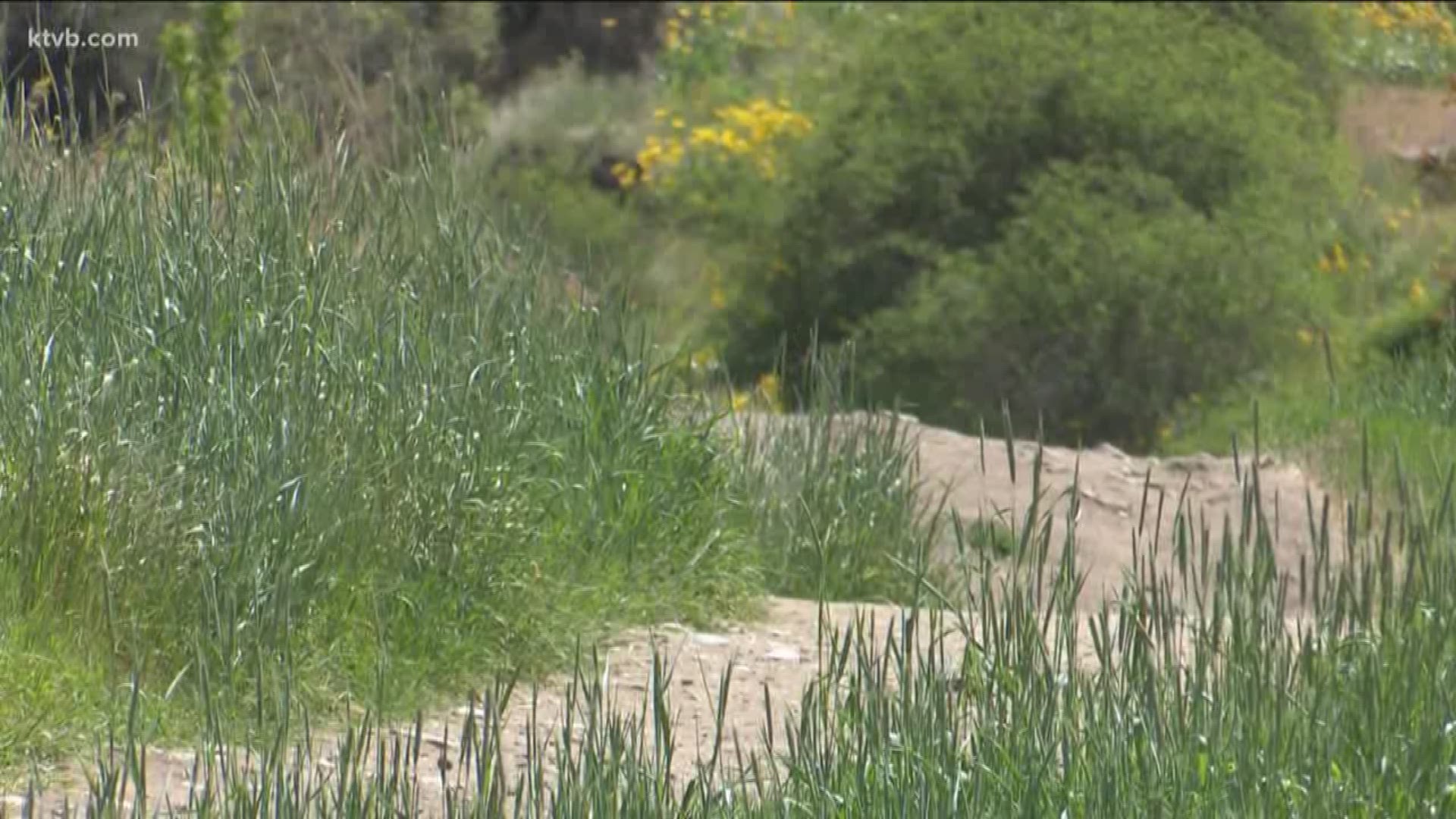 Officials warn people using the foothills to be on the lookout.