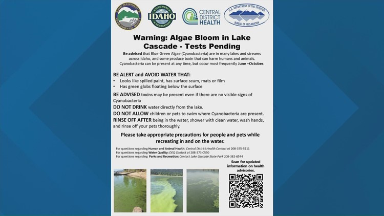 Lake Cascade State Park warns of algae bloom