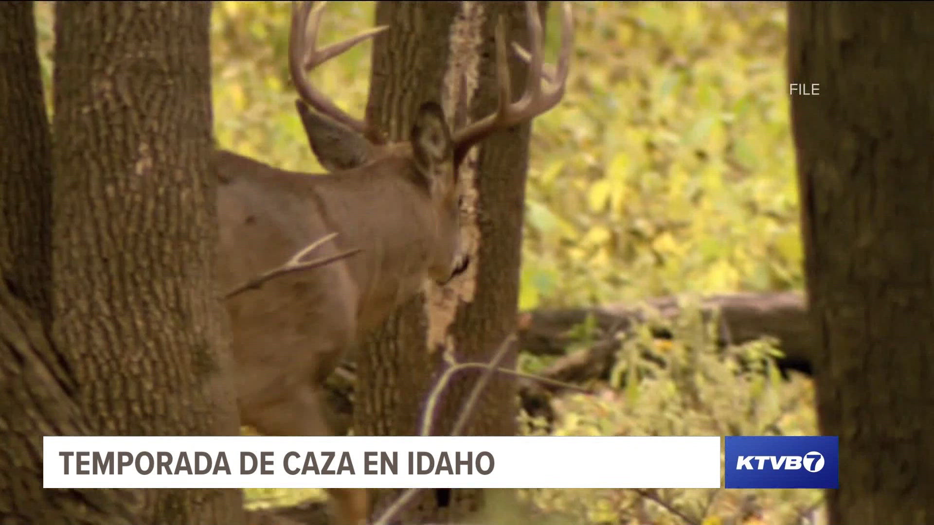 El Departamento de Pesca y Caza de Idaho recuerda a los cazadores que revisen las reglas antes de salir.