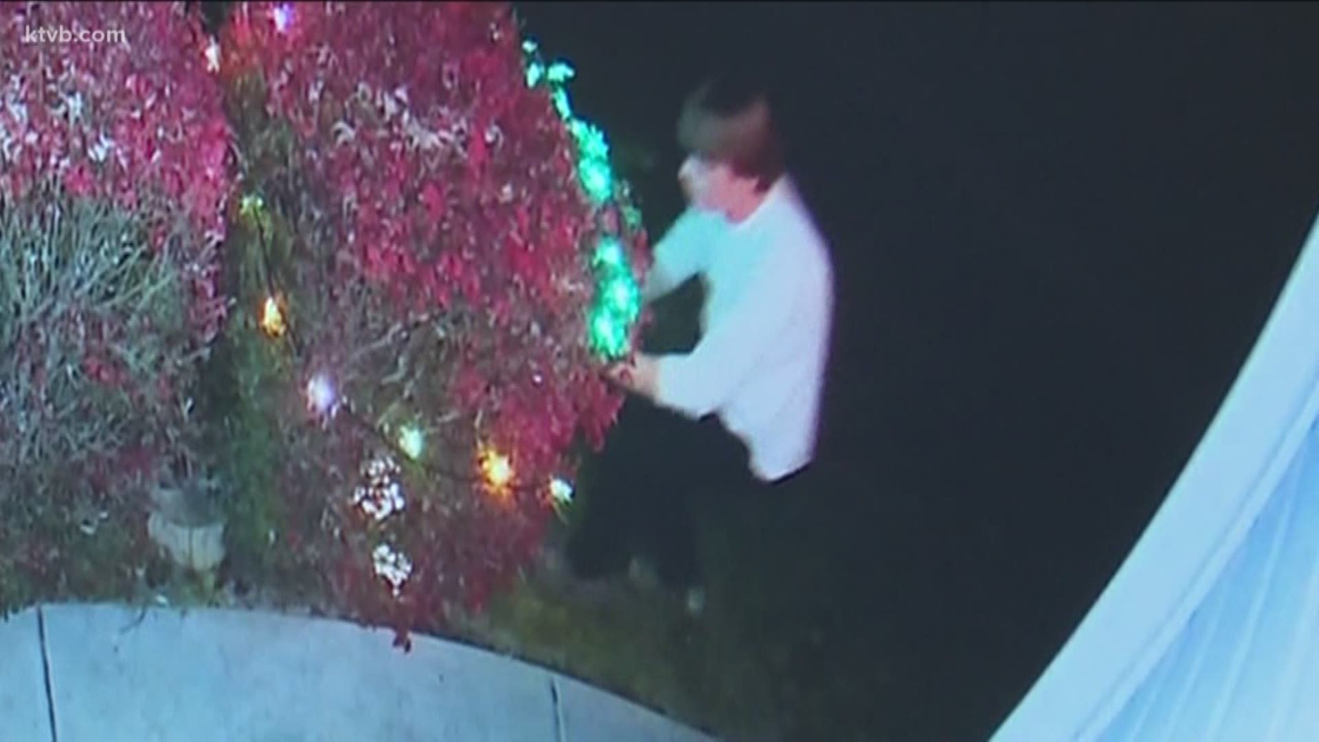 The person who vandalized the family's Halloween decorations was caught on camera.