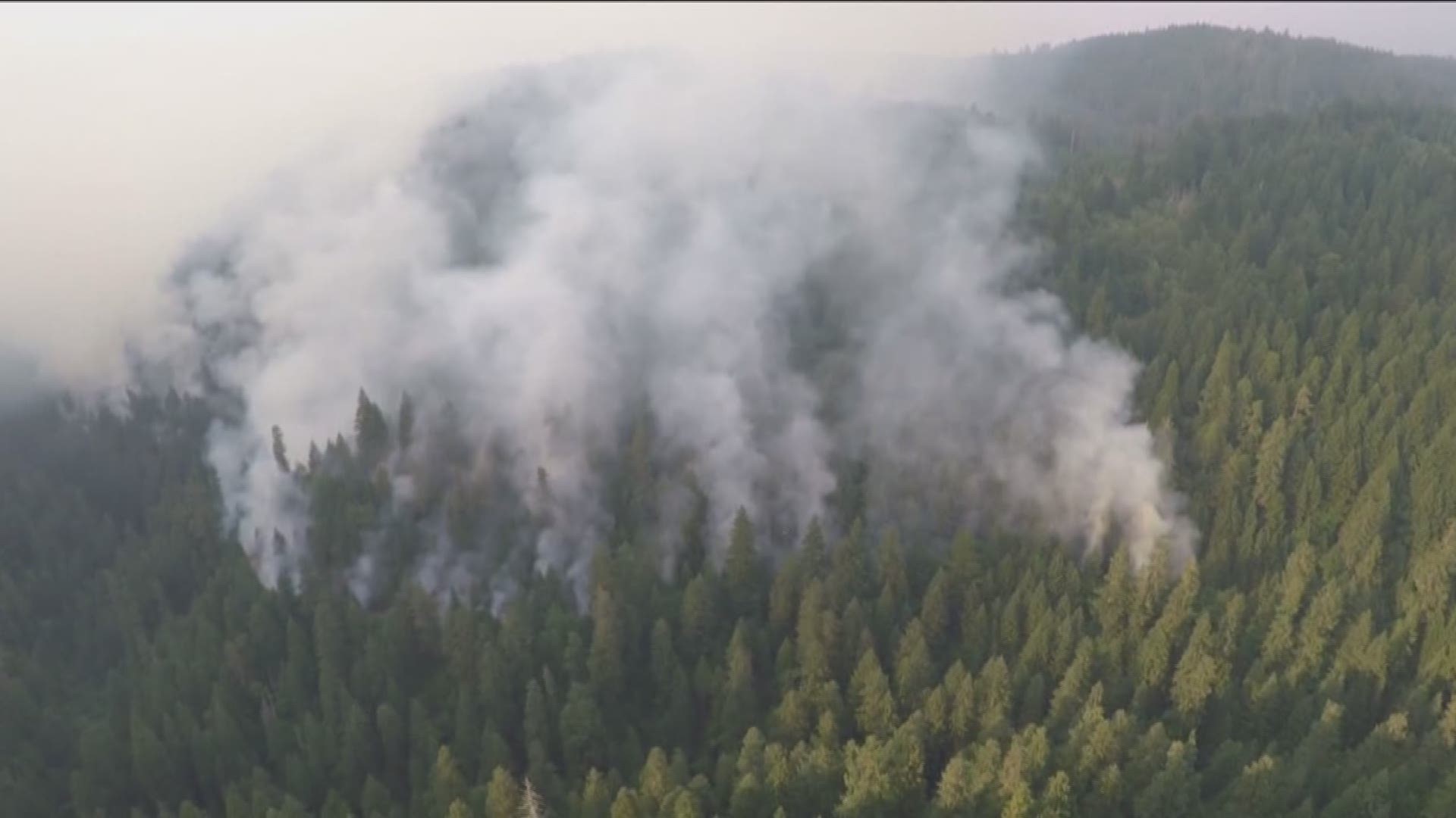 Idaho's congressional delegation talked about how the new funding will help fight wildfires.