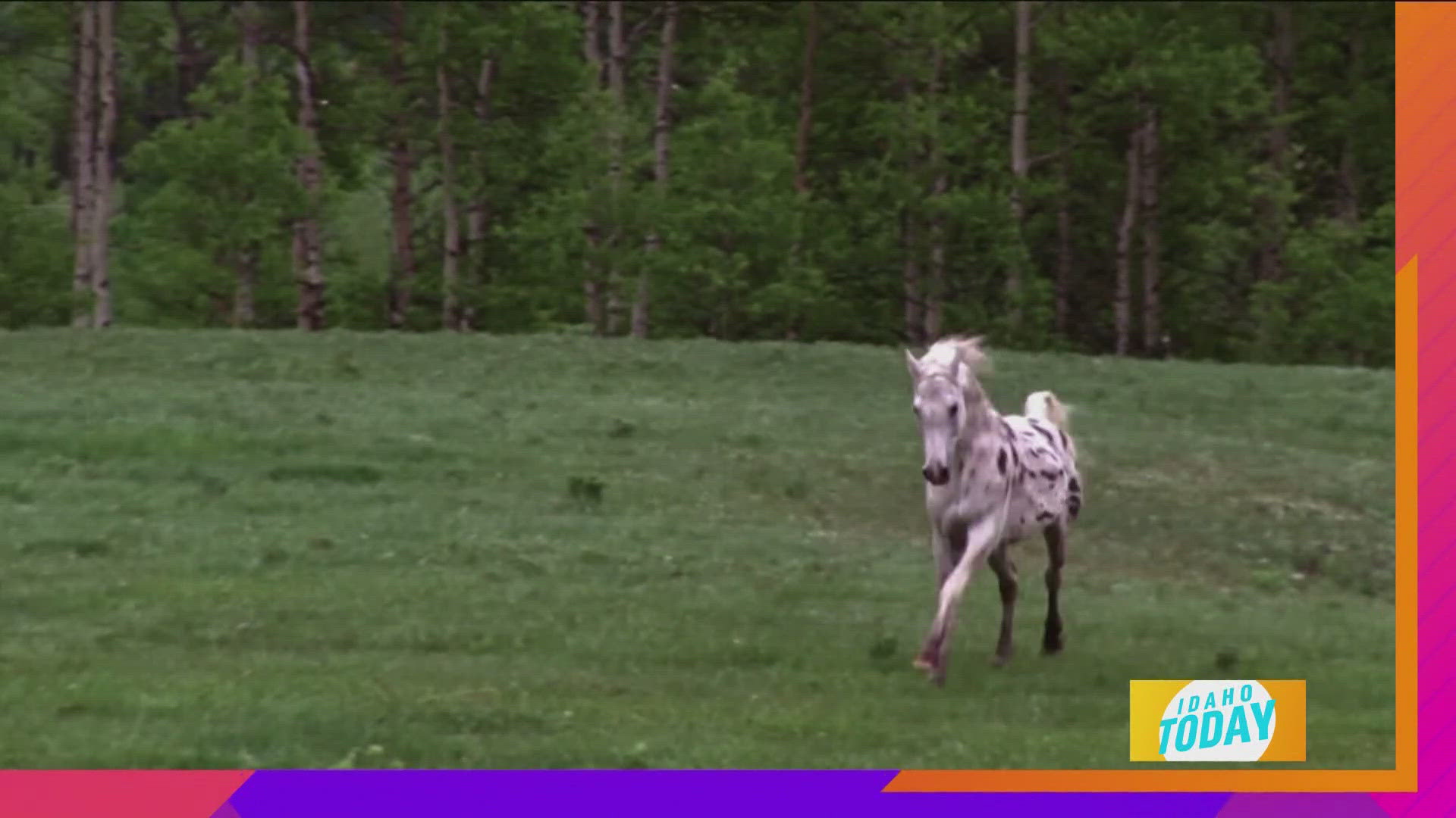 New season of "Heartland"