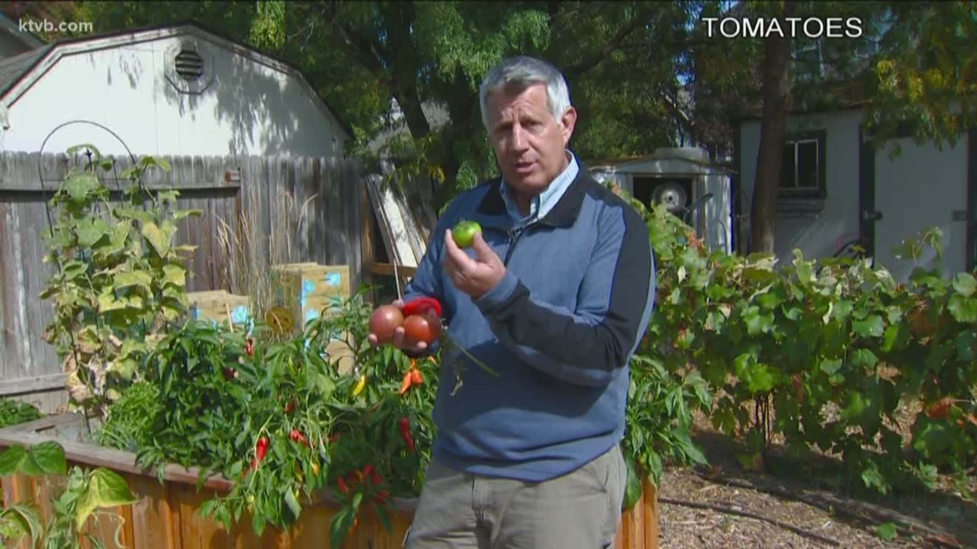 Jim Duthie highlights some of his best garden tips.