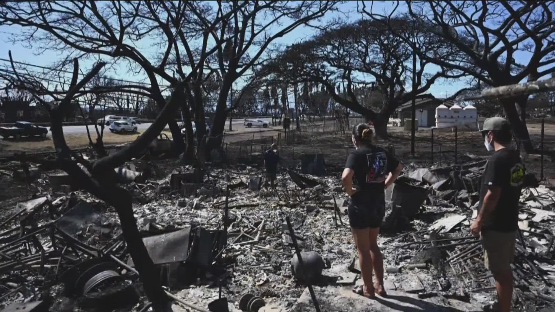 Families In Desperate Search For Loved Ones As Maui Fires Death Toll ...