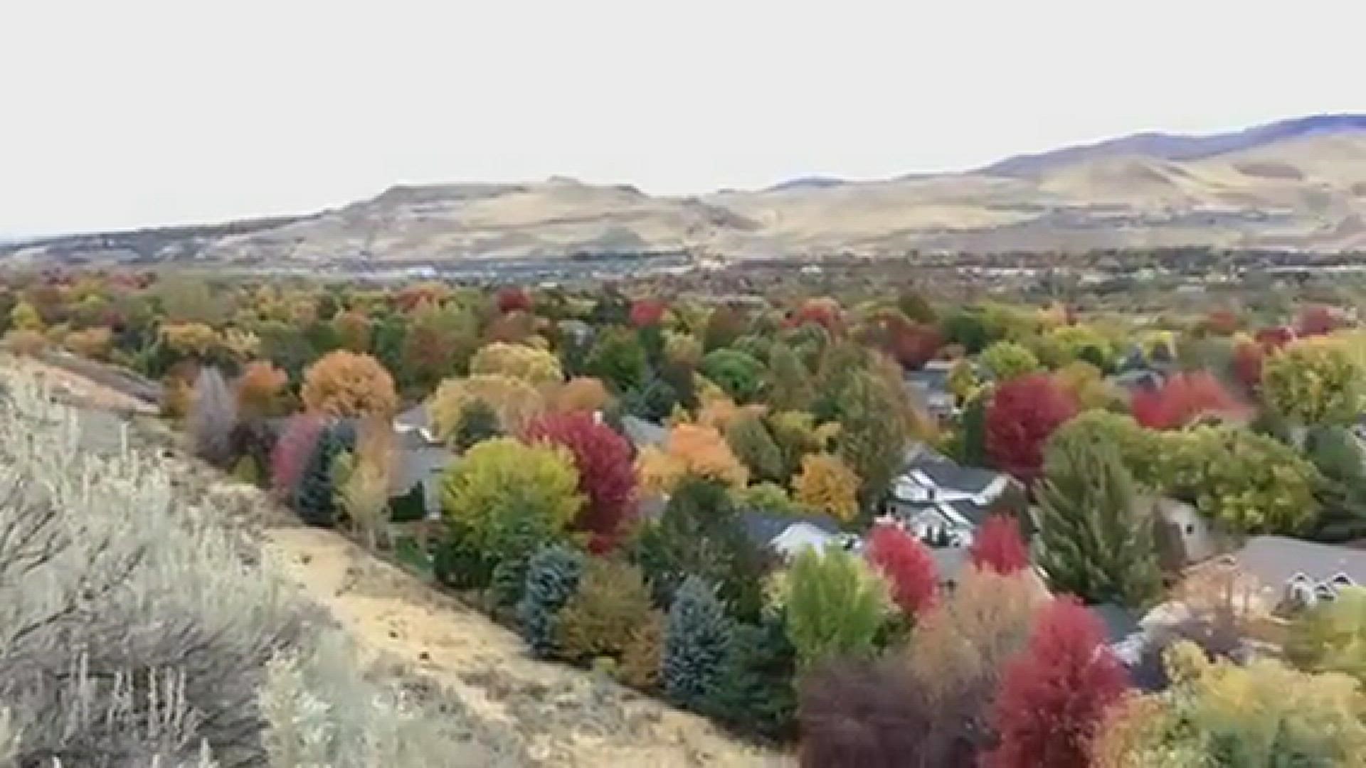 Beautiful Fall Colors from the Columbia Village Oregon Trail Overlook
Credit: Natalie Sellen