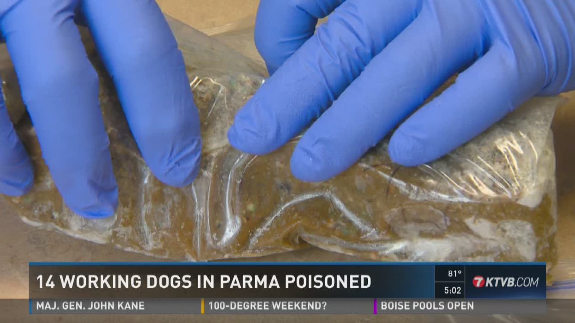 14 working dogs poisoned in Parma