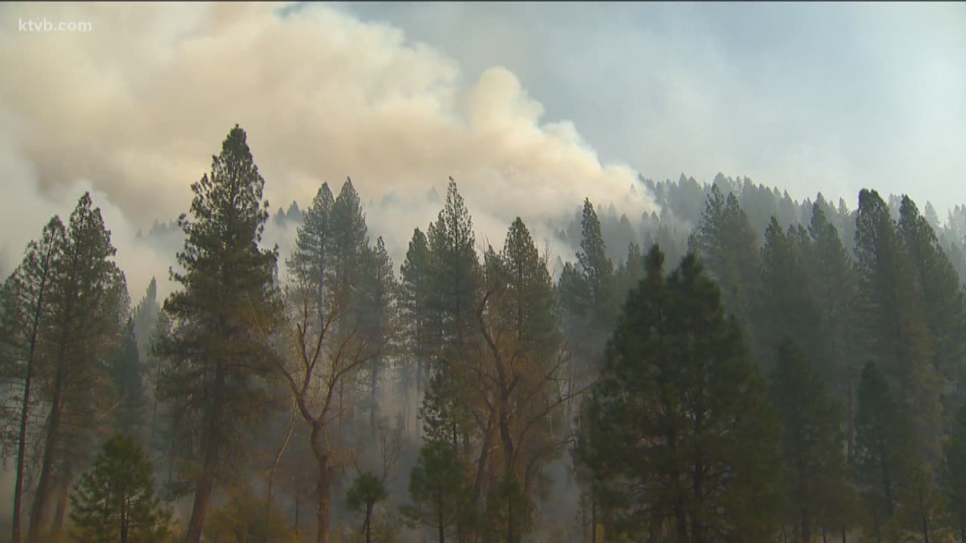 Scientists say the research is happening right now with wildfires burning in Idaho.