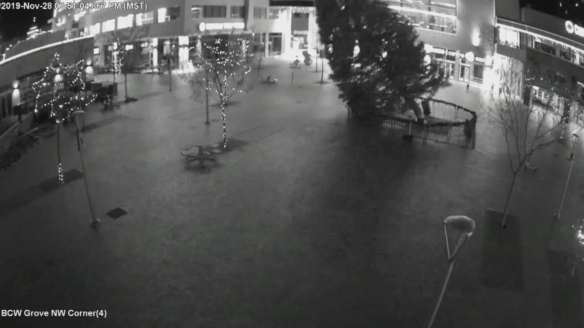 Watch as the tree in the Grove Plaza falls over. There is no one around when it happens.