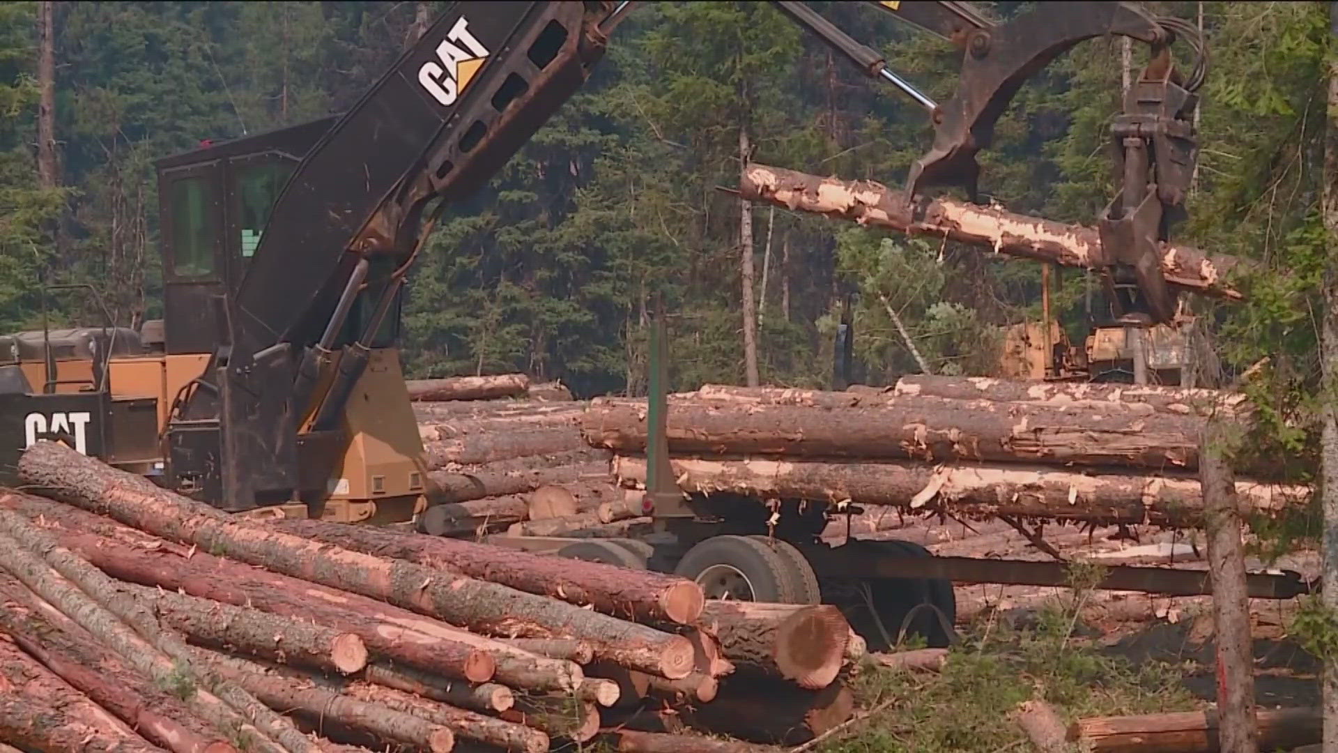 The Trump administration plans to rescind a nearly quarter-century-old rule that blocked logging on national forest lands.