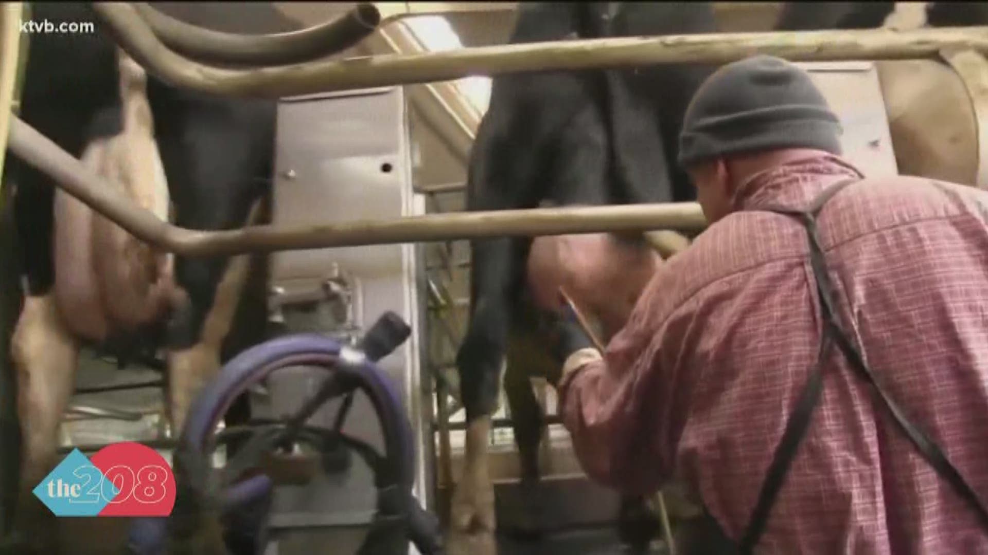 Idaho dairymen are struggling right now due to a significant drop in the price of milk over the past few weeks.