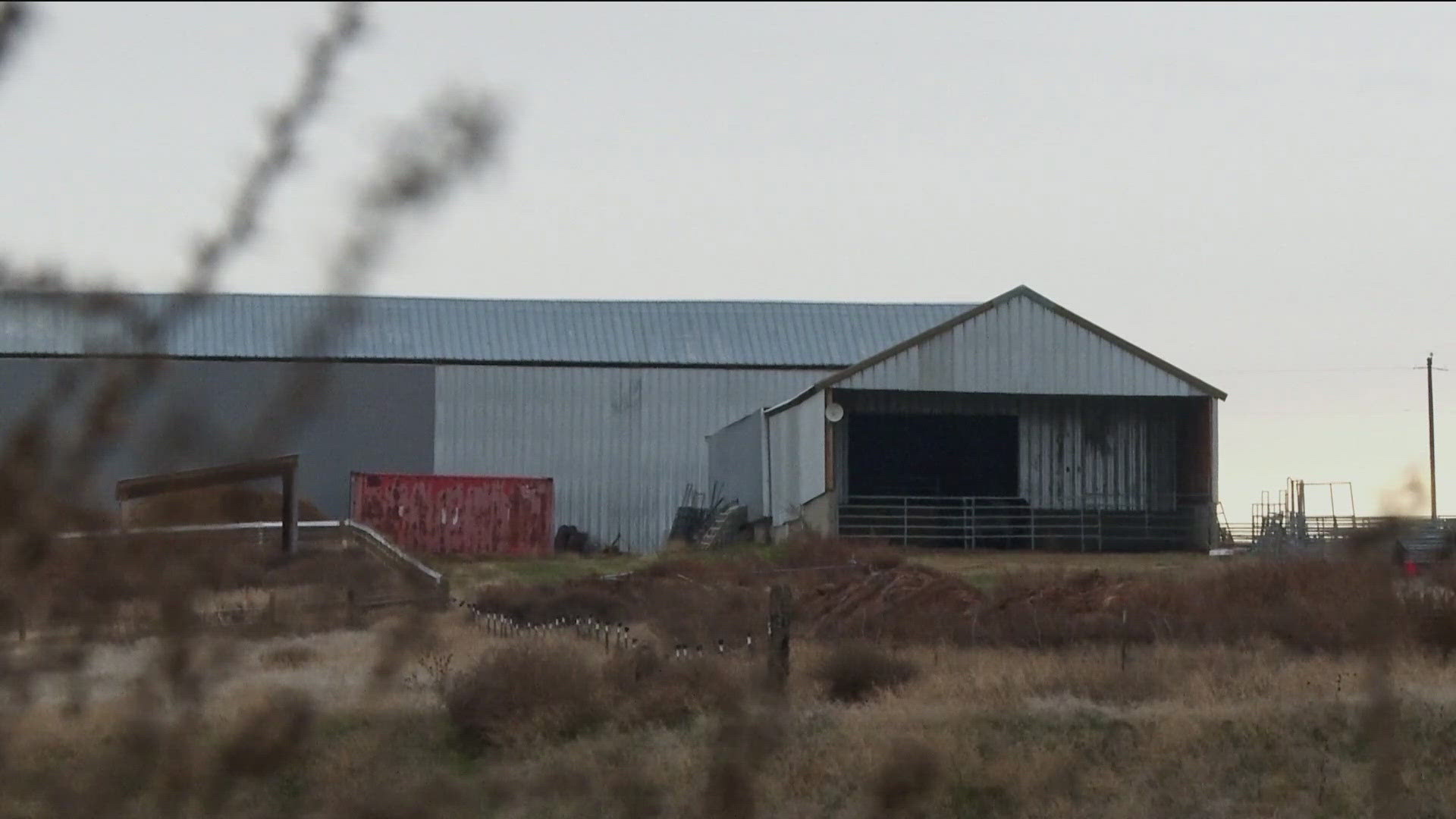 A fire at the C&C Quarter Horses training facility required 40 firefighters from multiple agencies. 28 horses died in the fire. 