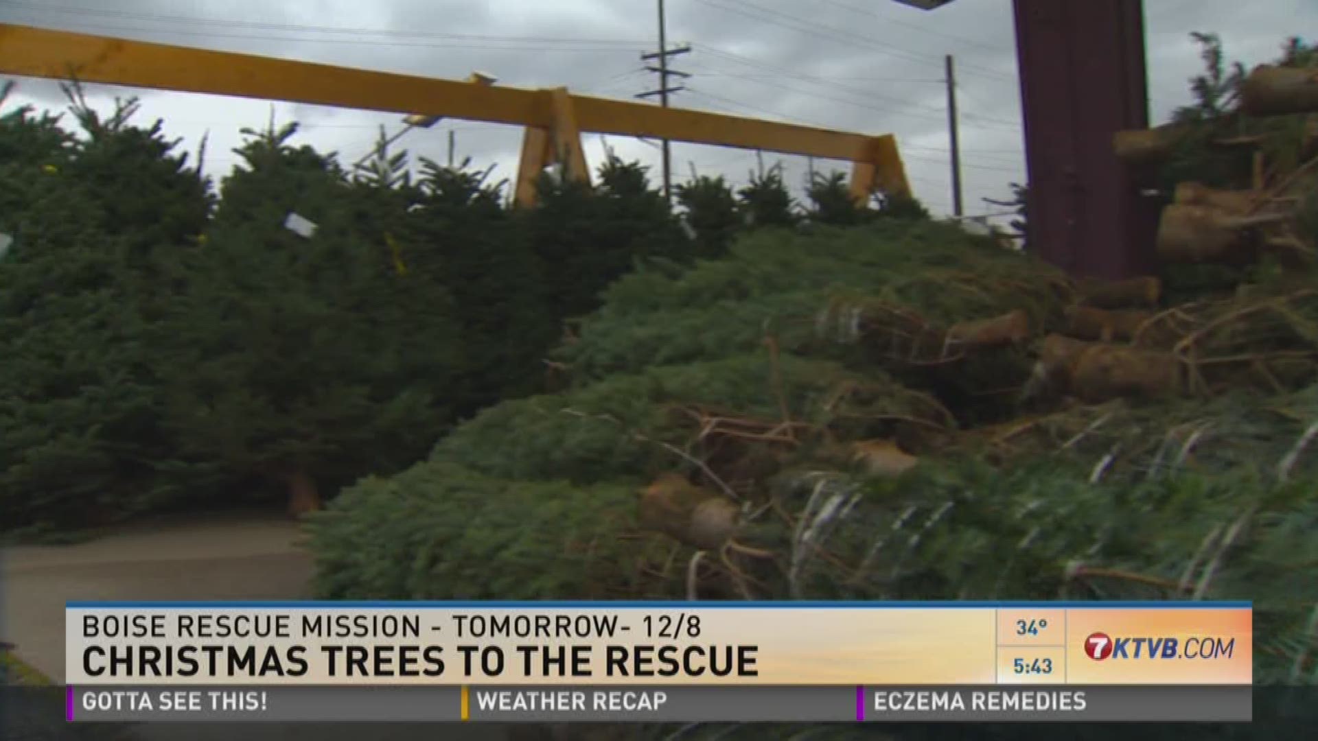 Boise Rescue Mission Christmas Trees 2022 Boise Rescue Mission Ministry Center: Christmas Tree Lot 2016 | Ktvb.com
