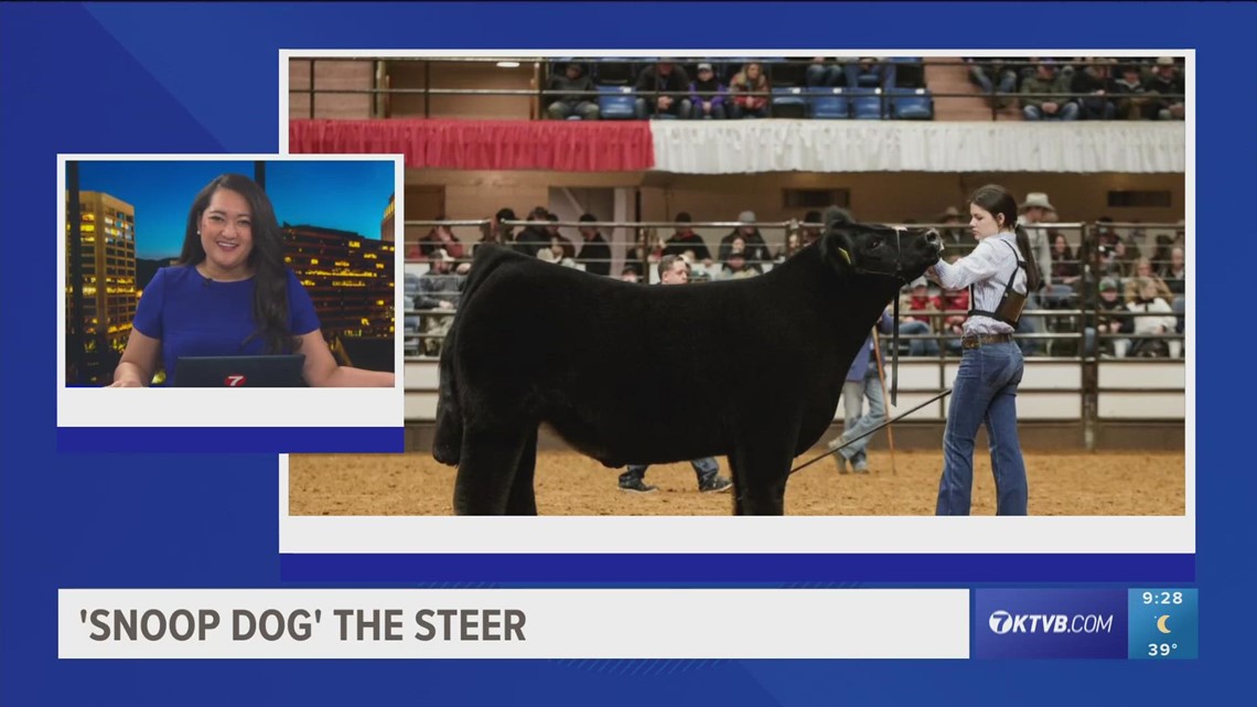 Steer named 'Snoop Dog' wins grand championship at Texas stock show, rodeo