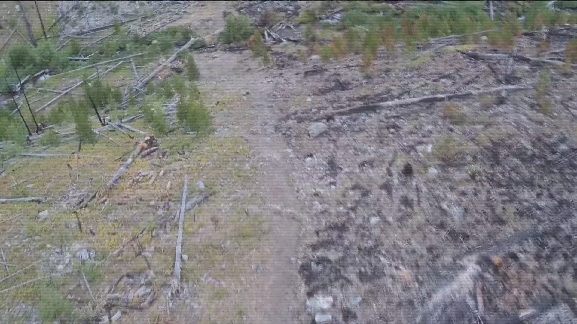 Drone operators help ranchers during the Hayden Fire by locating lost cattle.