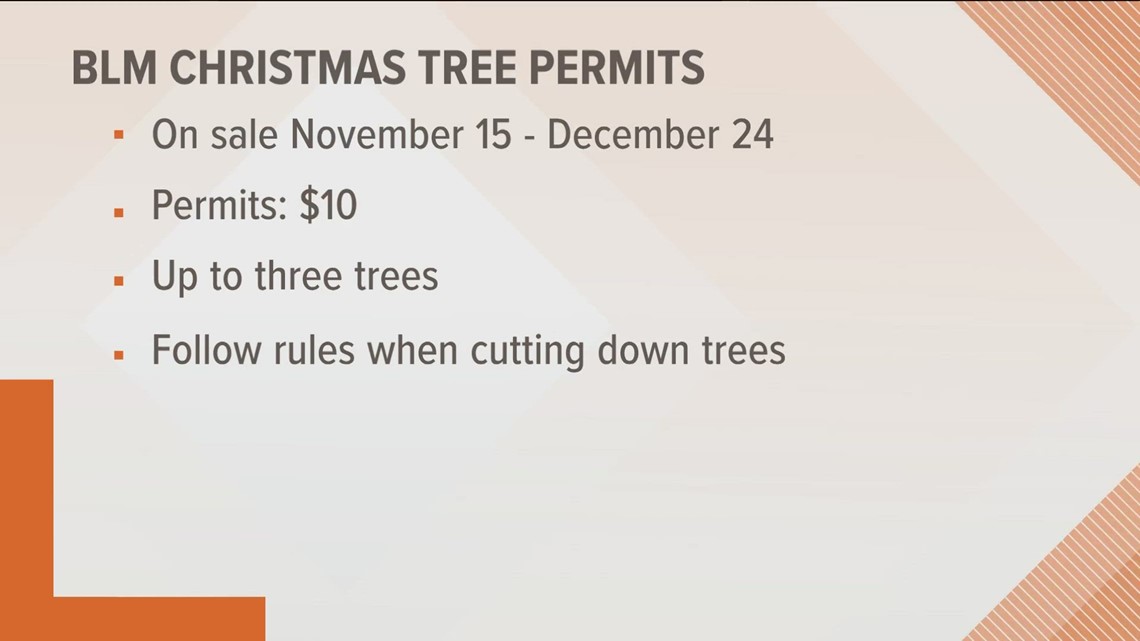 BLM announces Christmas tree permits