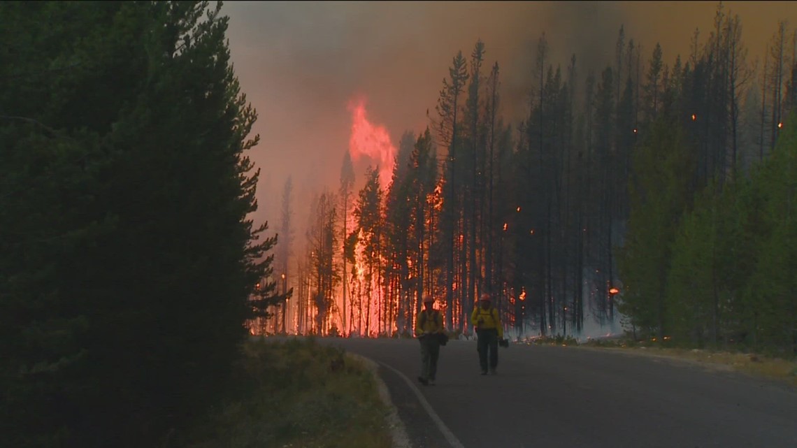 Gov. Little proclaims May as Wildfire Awareness Month in Idaho