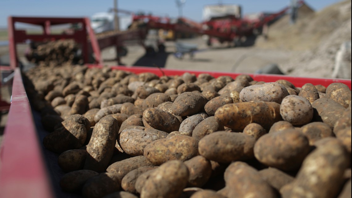 U.S. Dept. of Labor fines Idaho potato farm