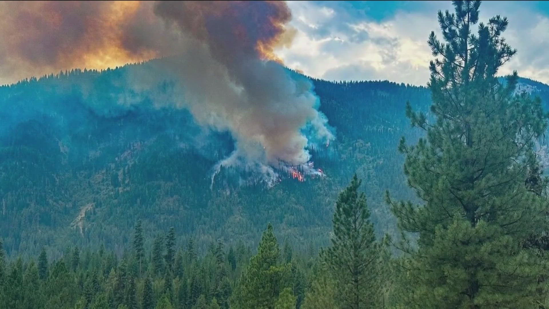 The fire has grown by 20,000 acres in 24 hours.