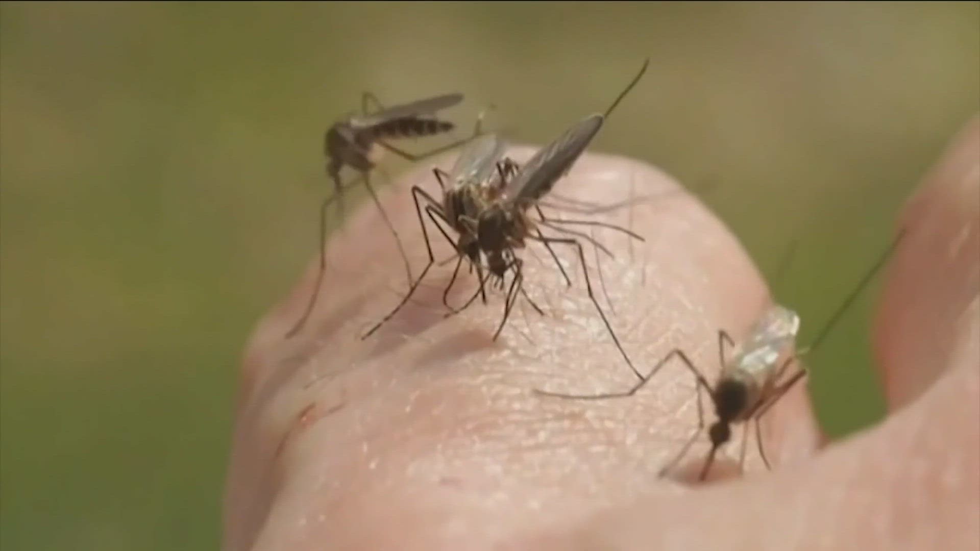 This is the second reporting of West Nile in the Treasure Valley this summer and the first one to come out of Canyon County.