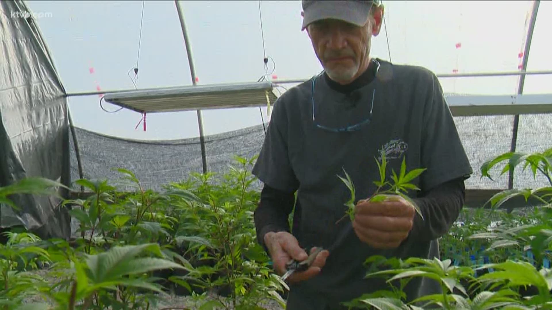 Burnt River Farms in Huntington, Oregon is a legal pot operation just an hour and a half from Boise.