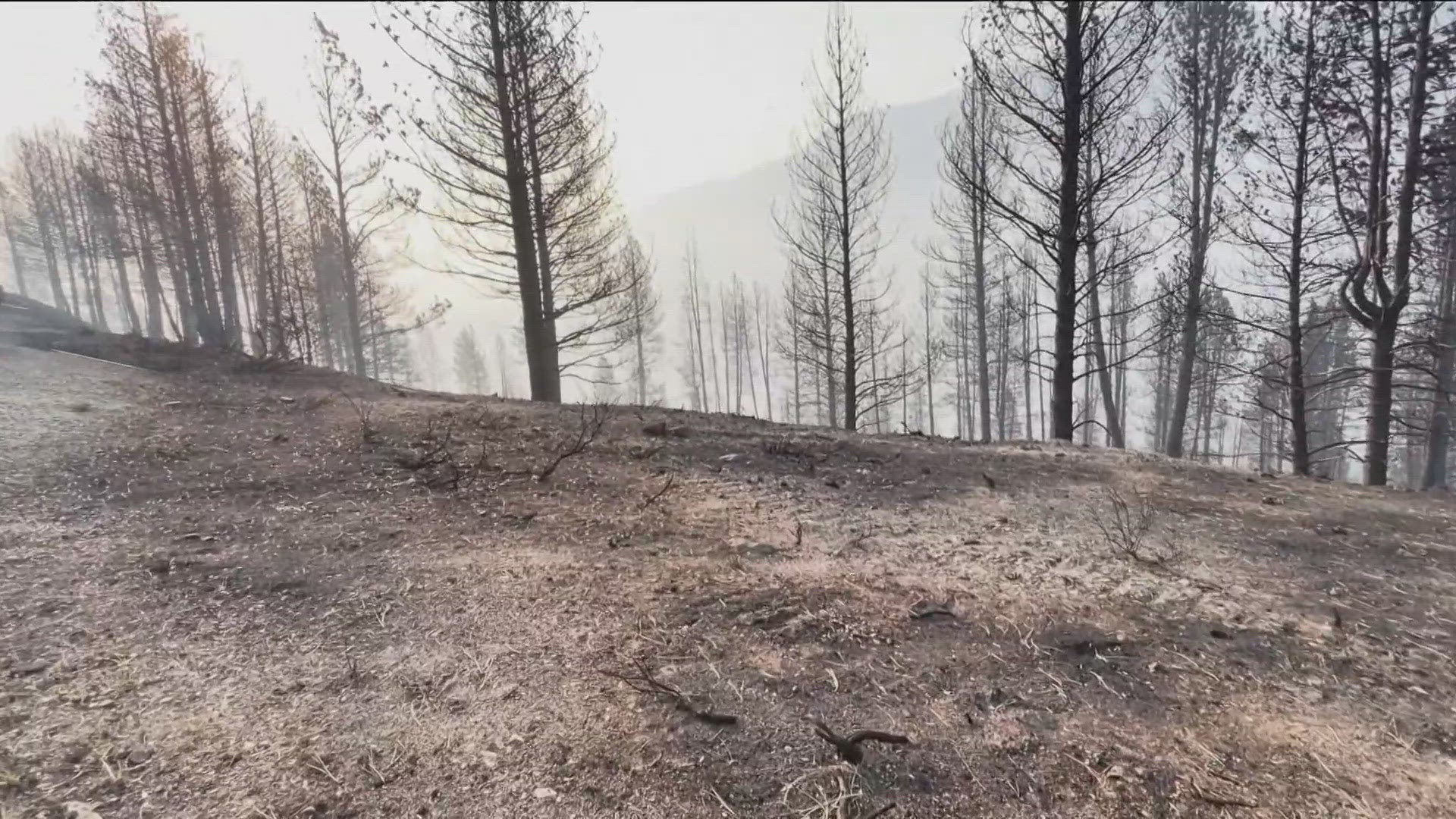 Small businesses and nonprofit organizations in seven Idaho counties have until July 7 to apply for low-interest federal disaster loans.