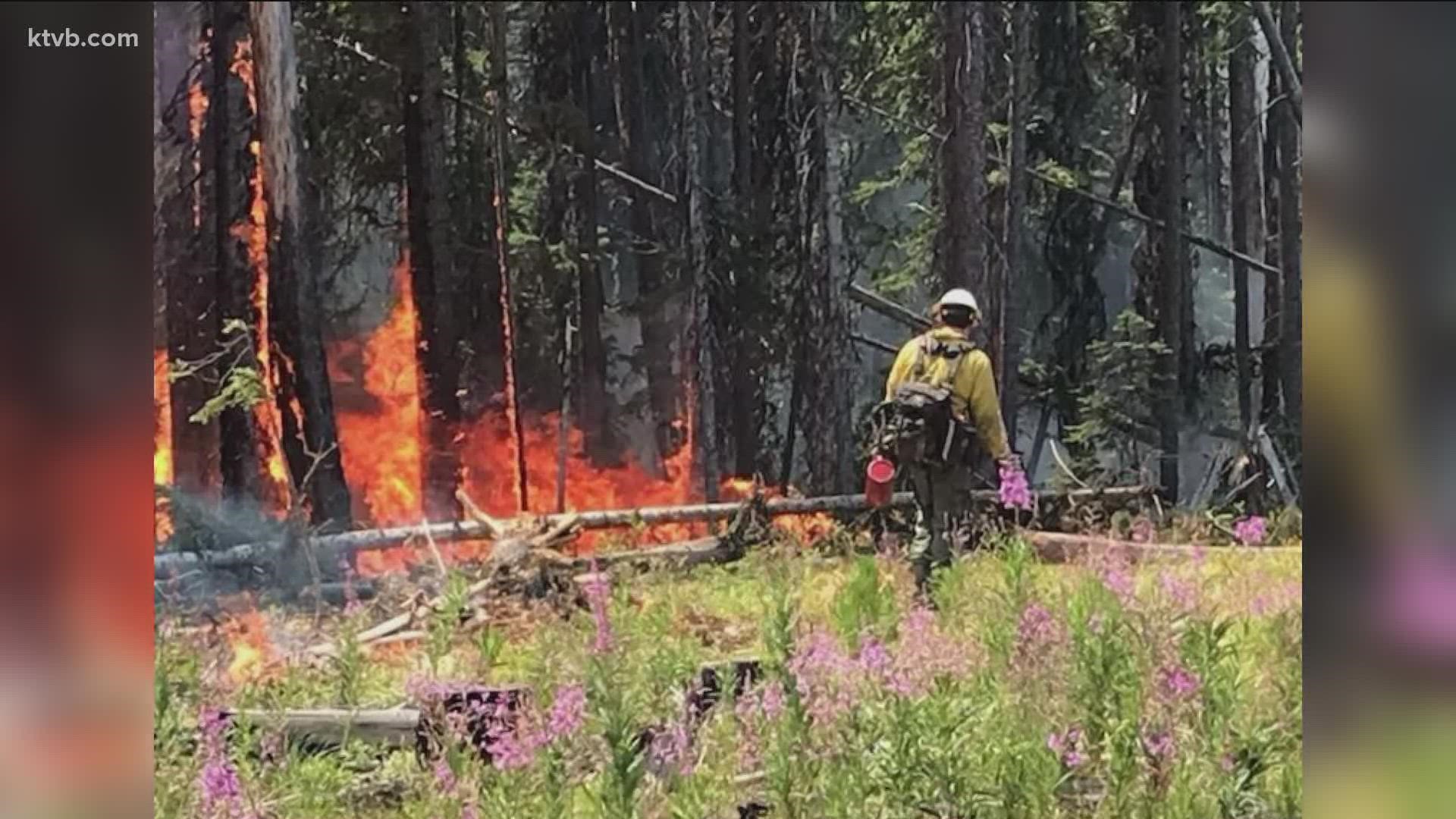 The U.S Forest Service says in order to put out Idaho fires like the Dixie Fire and the Deer Fire, long-duration periods of rain are needed, not short bursts.