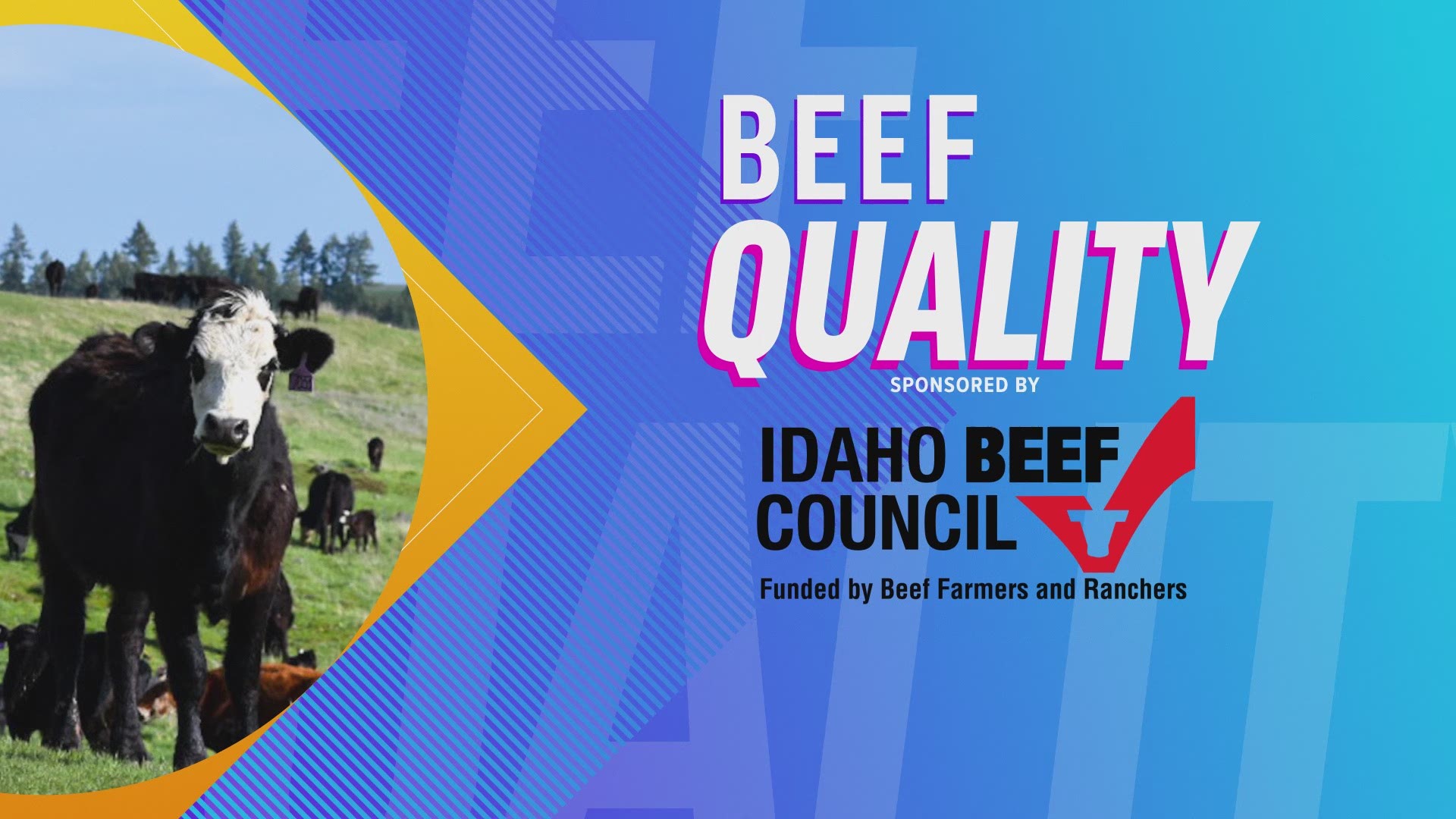 The National Beef Quality Assurance Advisory Board teaches each segment of the beef industry. From how to properly care & treat their animals & so  forth.