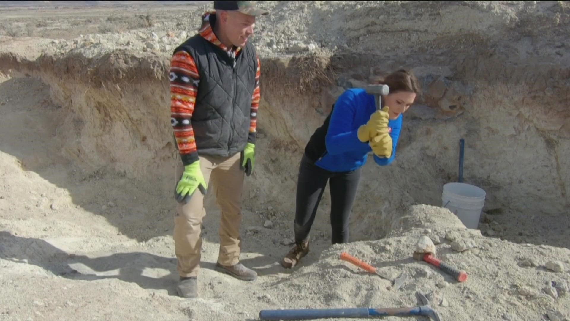 Rockhounding, digging and searching in Idaho.