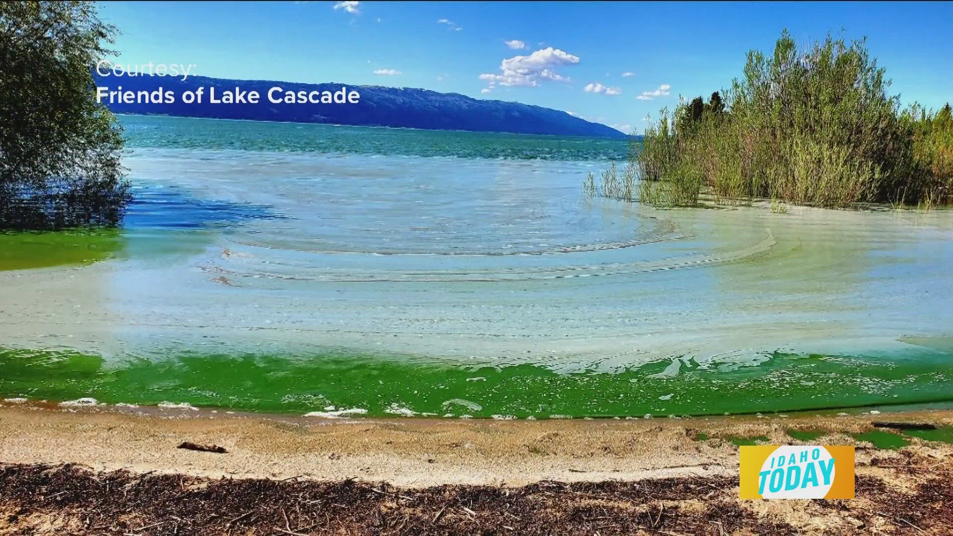 Idaho Health & Welfare teaches us about the dangers of blue-green algae.