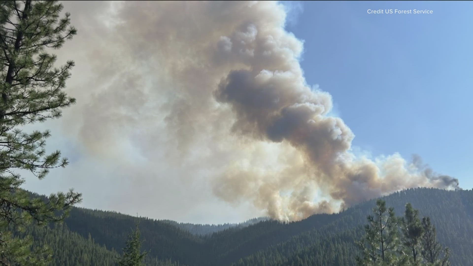 A wildfire spotted Wednesday afternoon in the Cascade Ranger District has quickly burned an estimated 100 acres, the U.S. Forest Service said.
