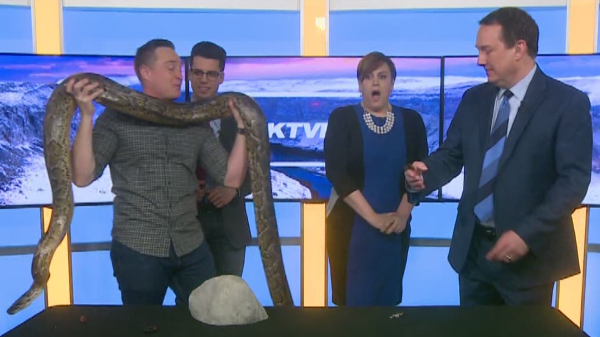 Corbin came to the KTVB studios to show off his animal friends - including a 10-foot Burmese python!