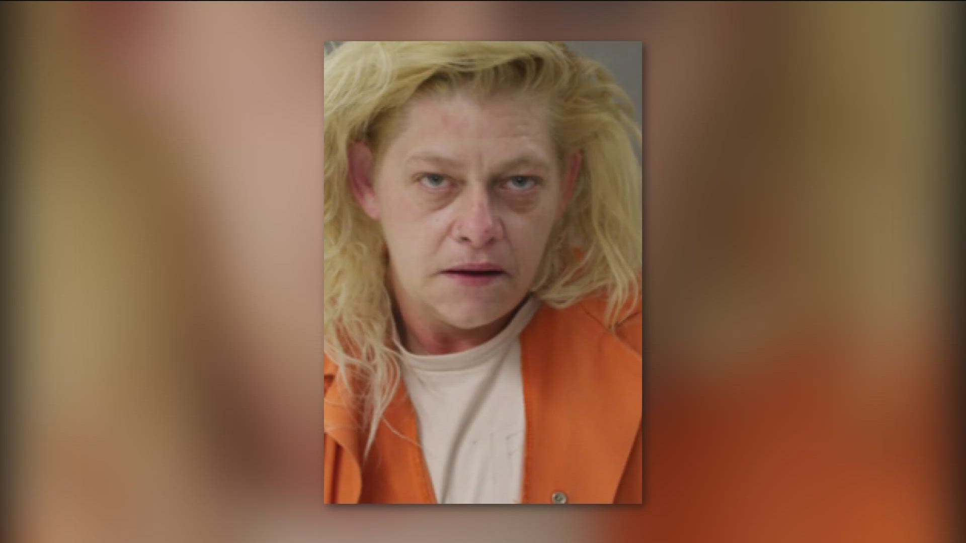 On Monday, court documents show Tonia Huber pleaded guilty to harboring a felon and possession of a controlled substance.