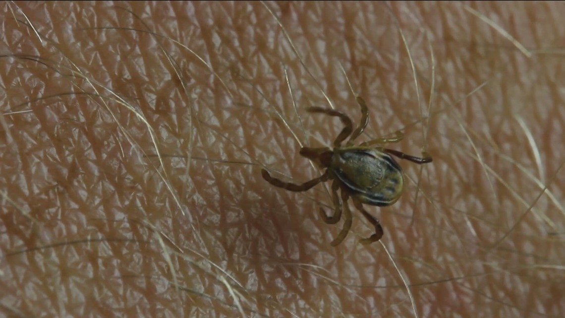 Don't let them 'tick' you off: What to know about tick season in Idaho ...