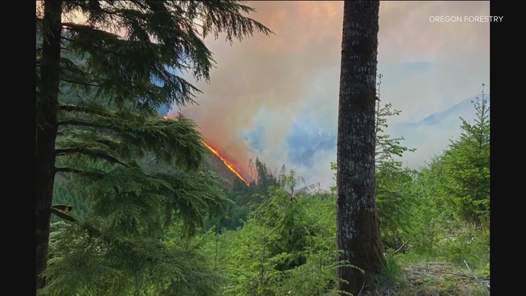 300 acres burn in Oregon wildfire