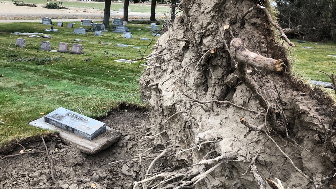 Wilder residents check on loved ones' headstones after uprooted trees damaged some